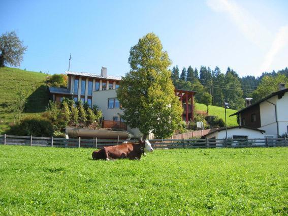 Studio 21A Hopfgarten im Brixental Exterior foto